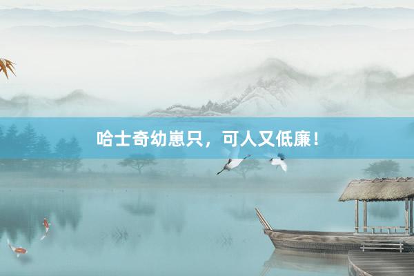 哈士奇幼崽只，可人又低廉！