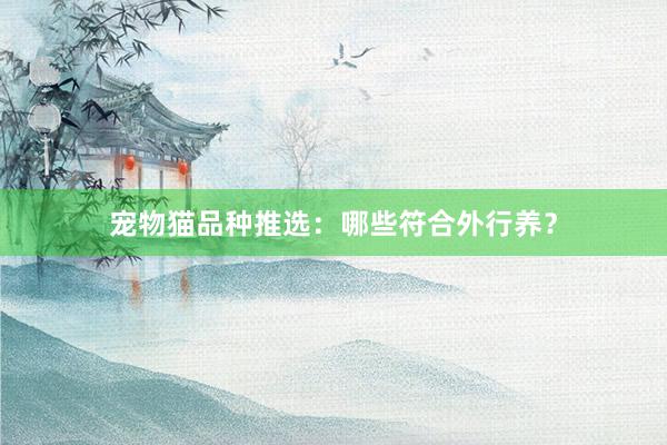 宠物猫品种推选：哪些符合外行养？